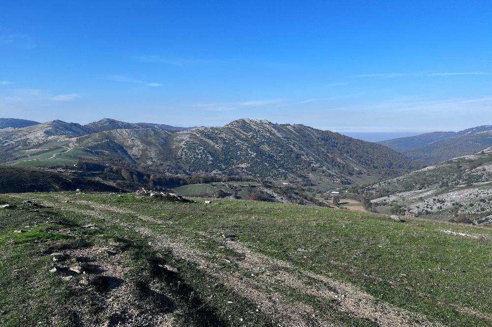 C21 Cius;Şahinyurdunda 4.837 m2 Ulaşımı Kolay Satılık Tarla