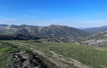 C21 Cius;Şahinyurdunda 4.837 m2 Ulaşımı Kolay Satılık Tarla