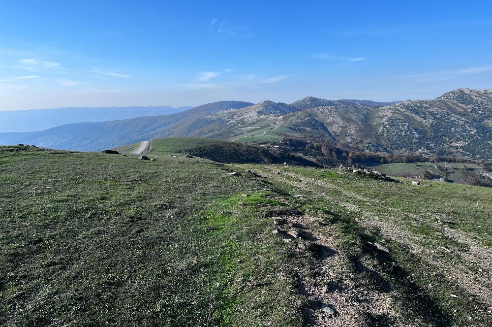 C21 Cius;Şahinyurdunda 4.837 m2 Ulaşımı Kolay Satılık Tarla