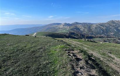 C21 Cius;Şahinyurdunda 4.837 m2 Ulaşımı Kolay Satılık Tarla