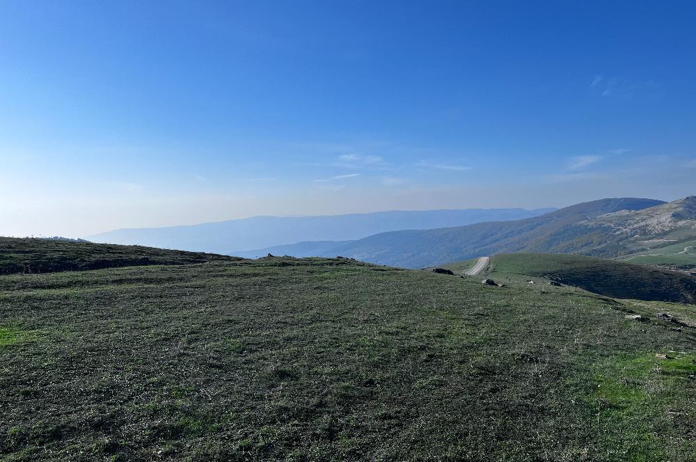 C21 Cius;Şahinyurdunda 4.837 m2 Ulaşımı Kolay Satılık Tarla