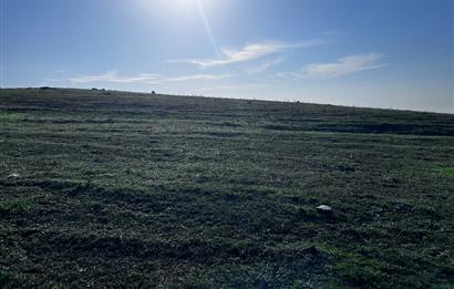 C21 Cius;Şahinyurdunda 4.837 m2 Ulaşımı Kolay Satılık Tarla