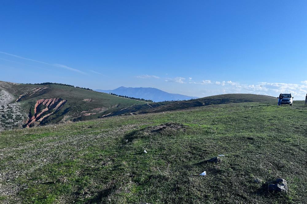 C21 Cius;Şahinyurdunda 4.837 m2 Ulaşımı Kolay Satılık Tarla