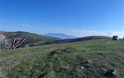 C21 Cius;Şahinyurdunda 4.837 m2 Ulaşımı Kolay Satılık Tarla