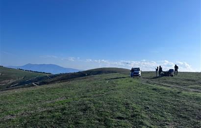 C21 Cius;Şahinyurdunda 4.837 m2 Ulaşımı Kolay Satılık Tarla