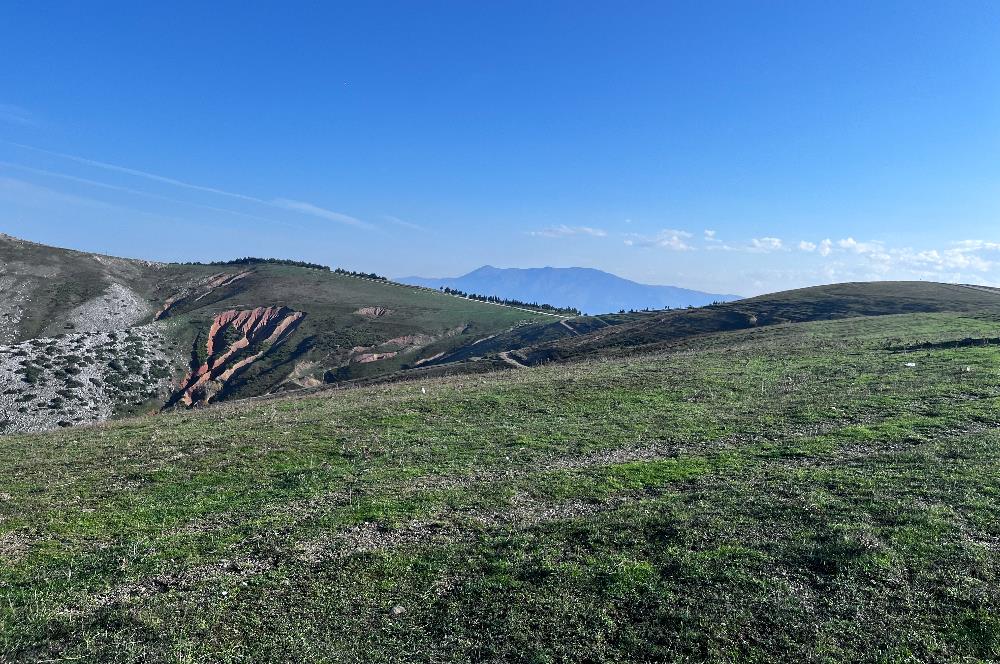 C21 Cius;Şahinyurdunda 4.837 m2 Ulaşımı Kolay Satılık Tarla
