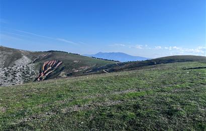 C21 Cius;Şahinyurdunda 4.837 m2 Ulaşımı Kolay Satılık Tarla