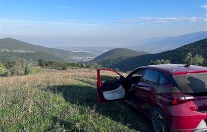 C21 Cius;Şahinyurdunda 6.975 m2 Ulaşımı Kolay Satılık Zeytinlik