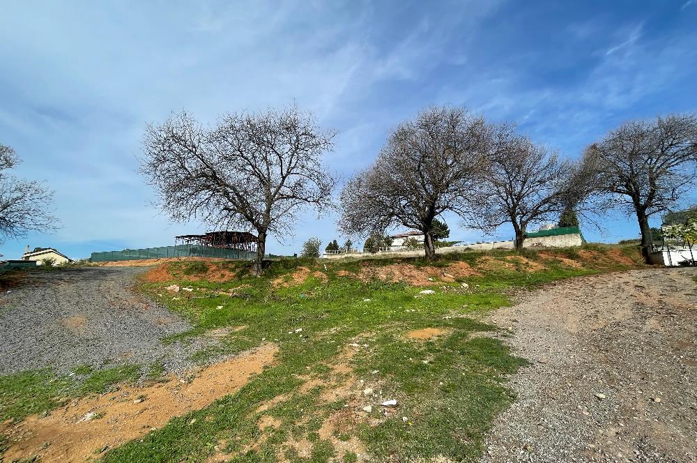 BAYRAMOĞLU PİRİ REİS MAHALLESİ’NDE 6.480 m2 İKİ PARSEL