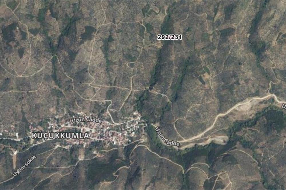 C21 Cius; Küçükkumlada 727 M2 Satılık Zeytinlik