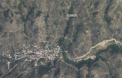 C21 Cius; Küçükkumlada 727 M2 Satılık Zeytinlik