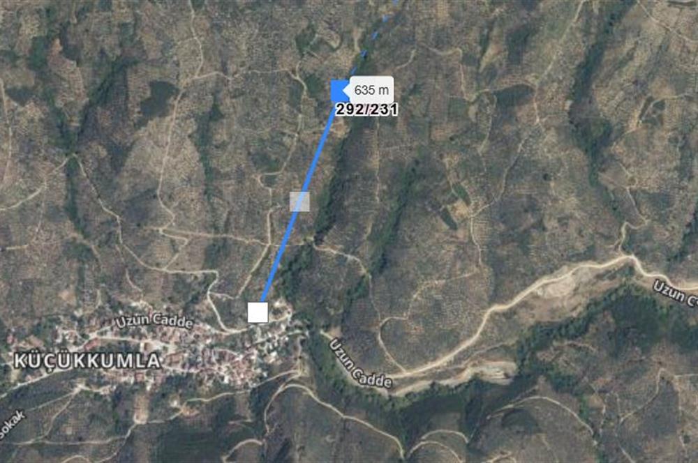 C21 Cius; Küçükkumlada 727 M2 Satılık Zeytinlik