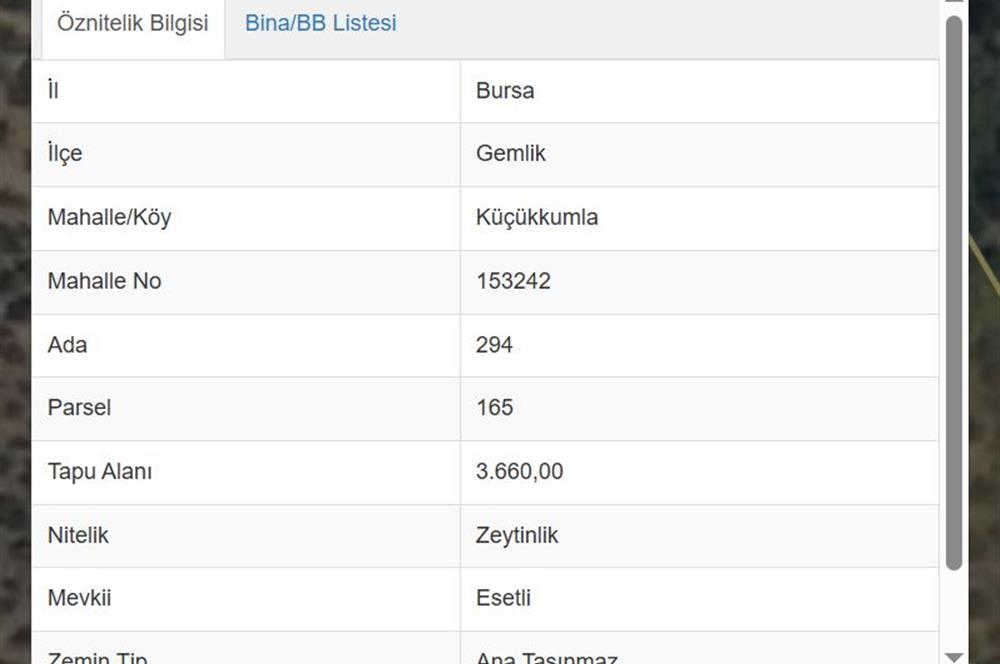 C21 Cius; Küçükkumla'da 3660 M2 Satılık Zeytinlik