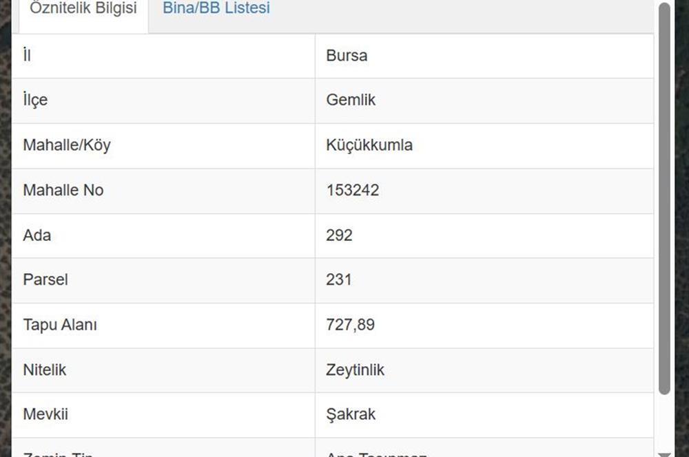 C21 Cius; Küçükkumlada 727 M2 Satılık Zeytinlik