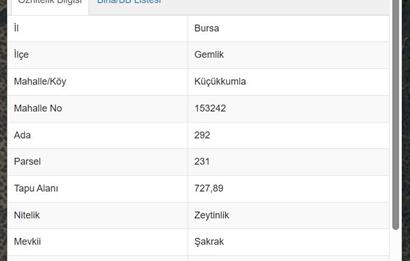 C21 Cius; Küçükkumlada 727 M2 Satılık Zeytinlik