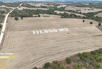 C21 BAL'DAN 135 DÖNÜM TEK PARÇA//PROJE GELİŞTİRMEYE UYGUN TARLA - 10 - 28049