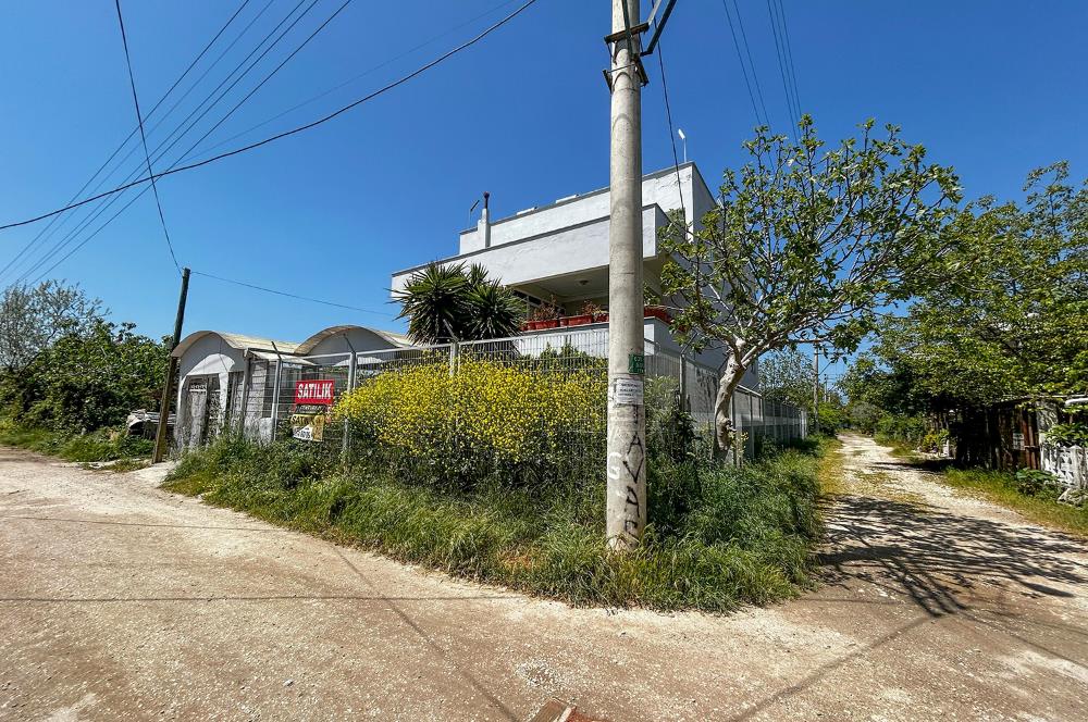 C21 Cius; Gençali Kumsaz'da Komple Bina