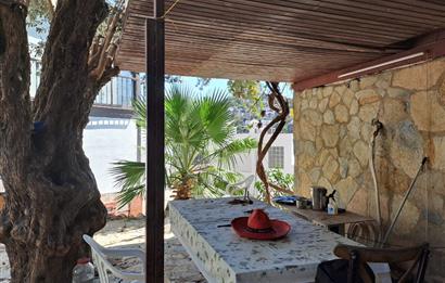 KOYUNBABA PLAJLI SİTEDE 3+1 DENİZ MANZARALI BAHÇE DUBLEKS