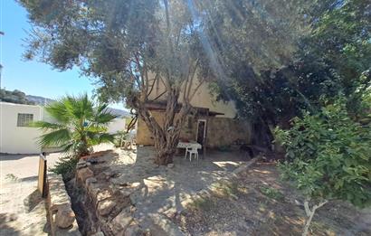 KOYUNBABA PLAJLI SİTEDE 3+1 DENİZ MANZARALI BAHÇE DUBLEKS