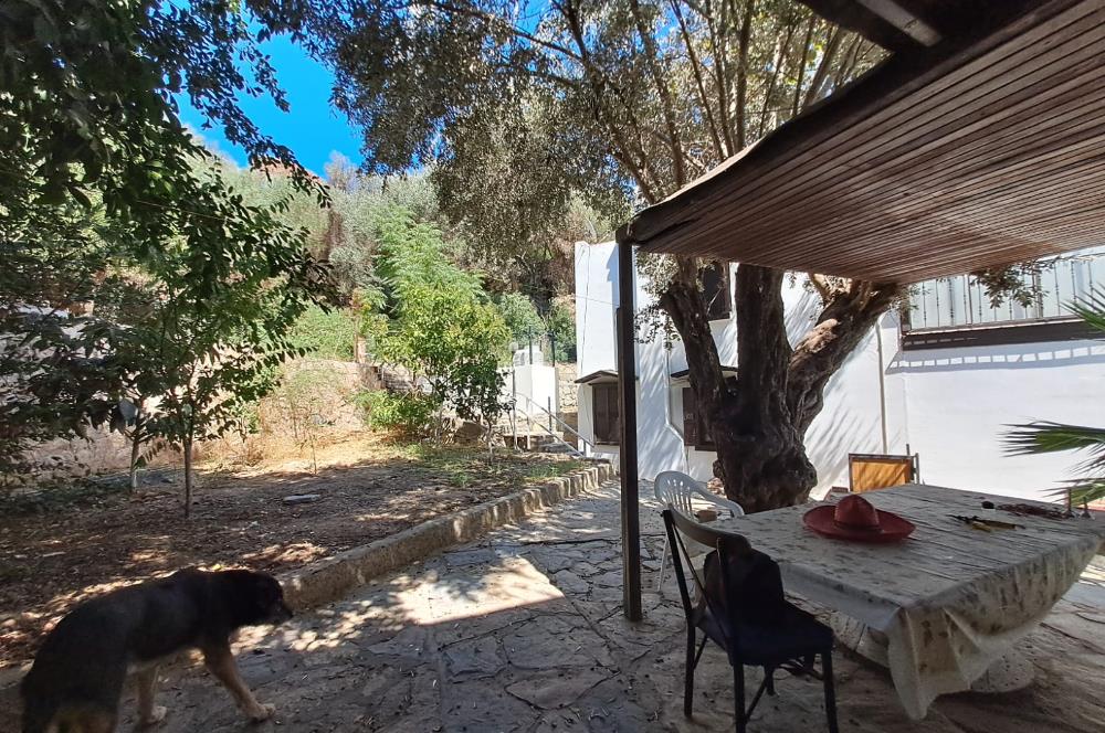 KOYUNBABA PLAJLI SİTEDE 3+1 DENİZ MANZARALI BAHÇE DUBLEKS