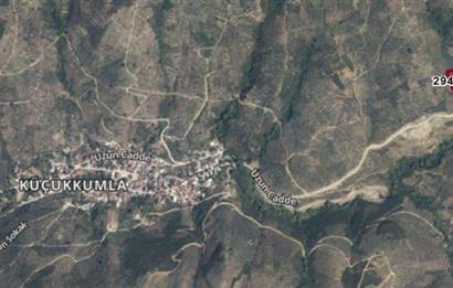 C21 Cius; Küçükkumla'da 3660 M2 Satılık Zeytinlik