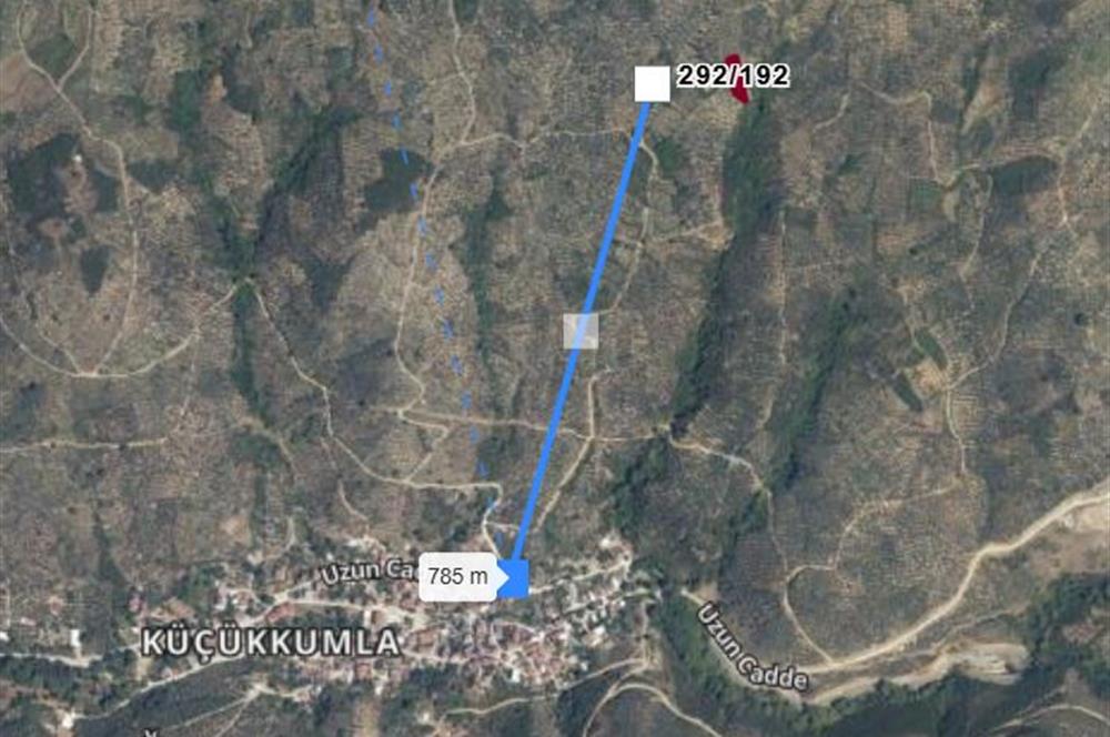 C21 Cius; Küçükkumla'da Satılık 769 m2 Zeytinlik