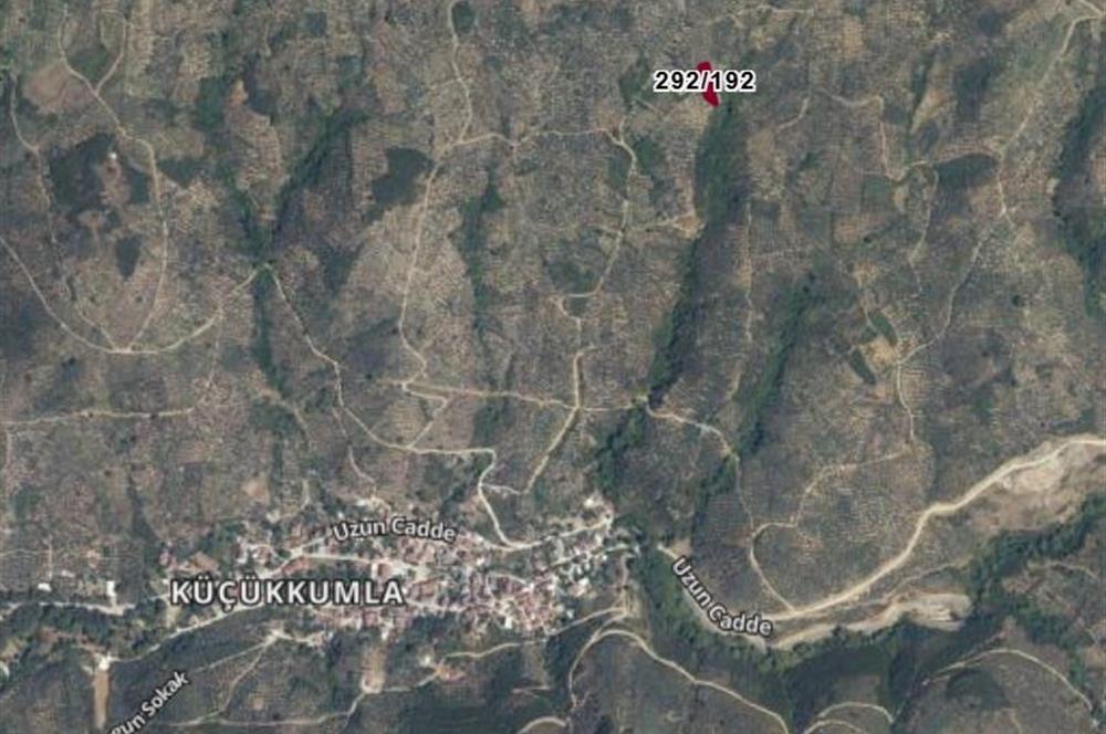 C21 Cius; Küçükkumla'da Satılık 769 m2 Zeytinlik