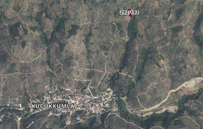 C21 Cius; Küçükkumla'da Satılık 769 m2 Zeytinlik