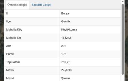 C21 Cius; Küçükkumla'da Satılık 769 m2 Zeytinlik