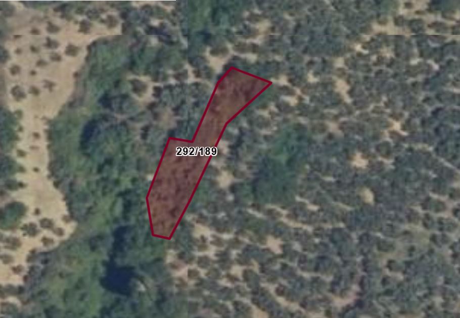 C21 Cius; Küçükkumla'da 573 M2 Satılık Zeytinlik