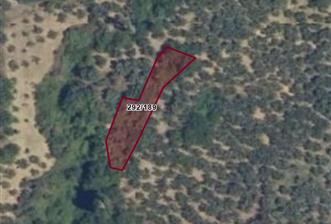 C21 Cius; Küçükkumla'da 573 M2 Satılık Zeytinlik - 8 - 29414