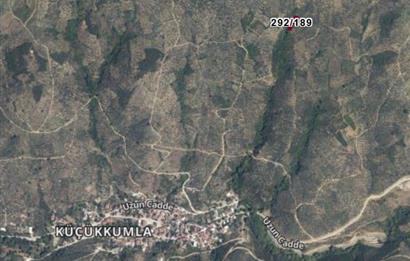 C21 Cius; Küçükkumla'da 573 M2 Satılık Zeytinlik