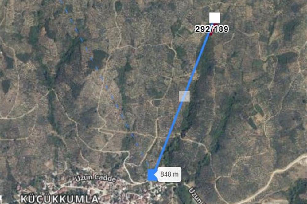 C21 Cius; Küçükkumla'da 573 M2 Satılık Zeytinlik