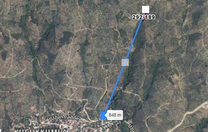 C21 Cius; Küçükkumla'da 573 M2 Satılık Zeytinlik