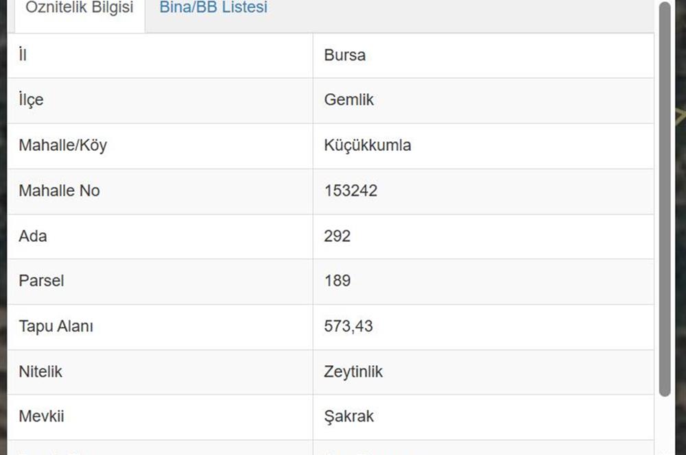 C21 Cius; Küçükkumla'da 573 M2 Satılık Zeytinlik