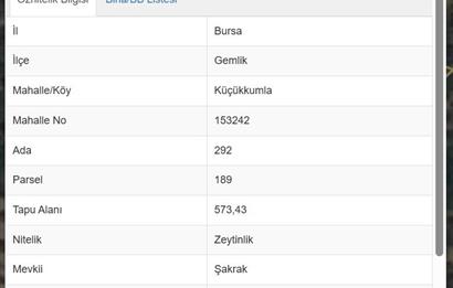 C21 Cius; Küçükkumla'da 573 M2 Satılık Zeytinlik