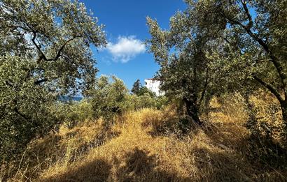 C21 Cius; Hasanağa Cad. Cephe Ayrık Nizam 2 Kat 0.60 Emsal Arsa