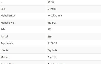 C21Cius: Kumla Köy Üstü 2 Ayrı Tapulu 2581 m2 Zeytinlik