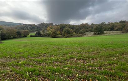 C21 BAL'DA ESKİMANYASTA ORMANA CEPHE 13.434 m² YOLU OlAN TARLA