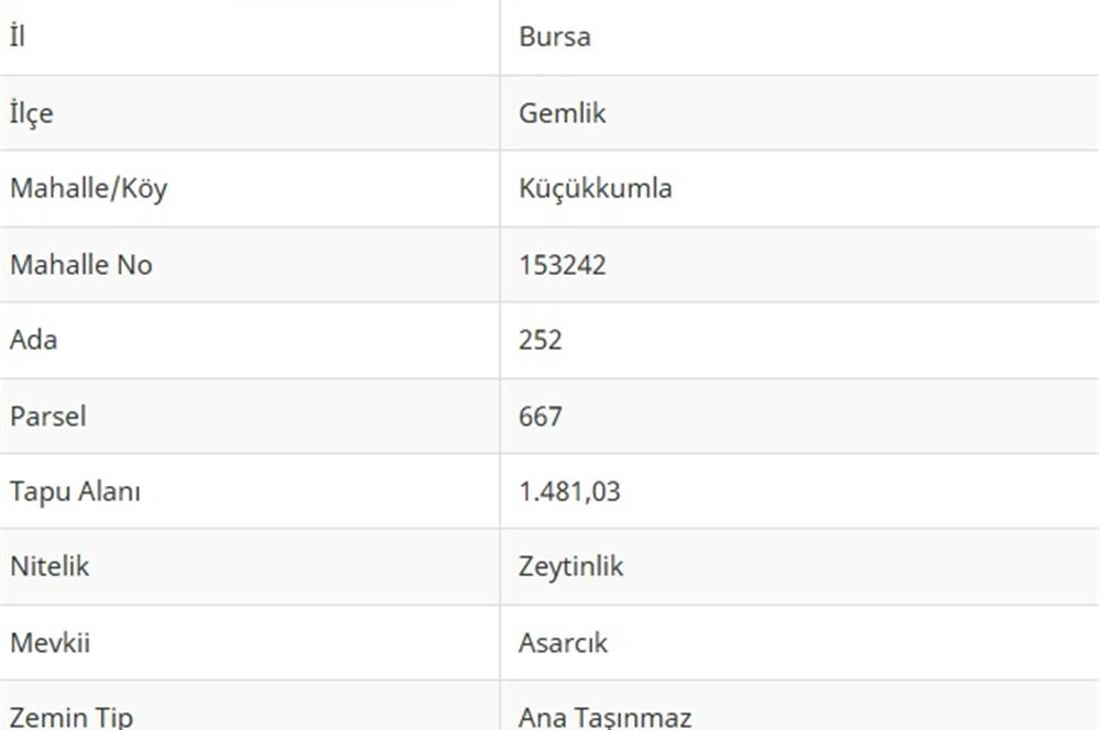 C21Cius: Kumla Köy Üstü 2 Ayrı Tapulu 2581 m2 Zeytinlik