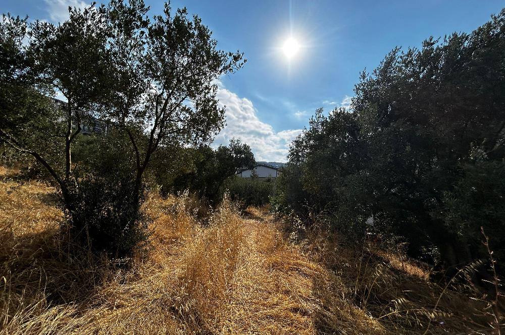 C21 Cius; Hasanağa Koy Üstü Ayrık Nizam 2 Kat 0.60 Emsal Arsa
