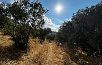C21 Cius; Hasanağa Koy Üstü Ayrık Nizam 2 Kat 0.60 Emsal Arsa