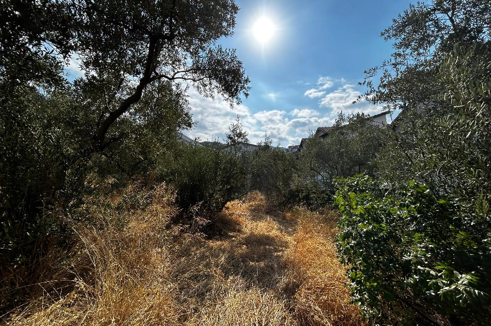 C21 Cius; Hasanağa Koy Üstü Ayrık Nizam 2 Kat 0.60 Emsal Arsa