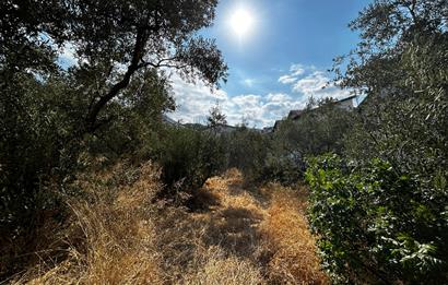 C21 Cius; Hasanağa Koy Üstü Ayrık Nizam 2 Kat 0.60 Emsal Arsa