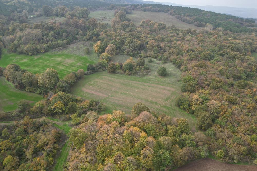 C21 BAL'DA ESKİMANYASTA ORMANA CEPHE 13.434 m² YOLU OlAN TARLA