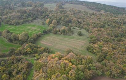 C21 BAL'DA ESKİMANYASTA ORMANA CEPHE 13.434 m² YOLU OlAN TARLA