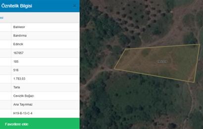 Century 21 Bal'dan Bandırma Edincik Mahallesinde Satılık Tarla