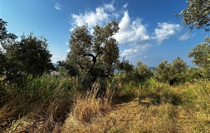 C21 Cius; Hasanağa Cad. Cephe Ayrık Nizam 2 Kat 0.60 Emsal Arsa