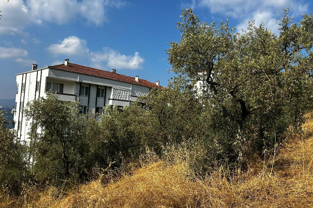 C21 Cius; Hasanağa Koy Üstü Ayrık Nizam 6 Kat 1.60 Emsal Arsa