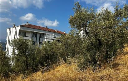 C21 Cius; Hasanağa Koy Üstü Ayrık Nizam 6 Kat 1.60 Emsal Arsa